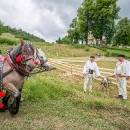IMG_3620