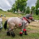 IMG_3621