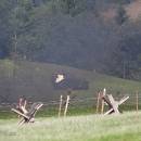 _MG_2125-kopie