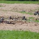 _MG_2127-kopie