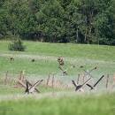 _MG_2136-kopie
