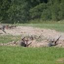 _MG_2202-kopie