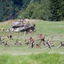 _MG_2231-kopie