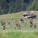 _MG_2237-kopie