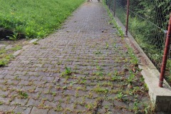 IMG-20230627-WA0031_resize