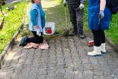 IMG-20230617-WA0013
