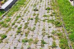 IMG-20230617-WA0023