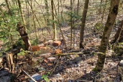 20230422_094356_resize