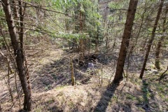 20230422_111254_resize