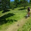 P1010464_resize_resize