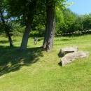 P1010480_resize_resize