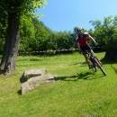 P1010482_resize_resize