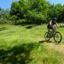 P1010486_resize_resize