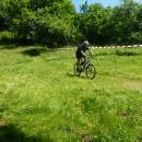 P1010488_resize_resize