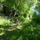 P1010499_resize_resize