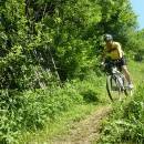 P1010503_resize_resize