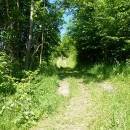 P1010507_resize_resize