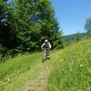 P1010518_resize_resize