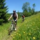 P1010521_resize_resize