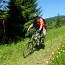 P1010522_resize_resize