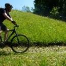 P1010526_resize_resize