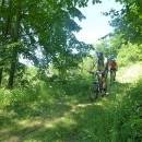 P1010537_resize_resize