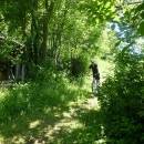 P1010543_resize_resize