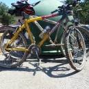 P1010738_resize_resize