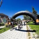 IMG_1451