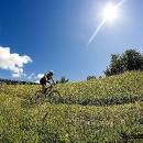 IMG_1667