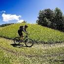 IMG_1675