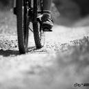 IMG_1799