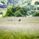 IMG_1810