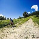 IMG_1945