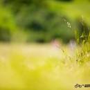 IMG_1963