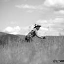 IMG_1979