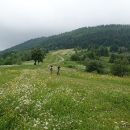 DSC01351