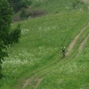 DSCF2312