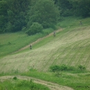 DSCF2343