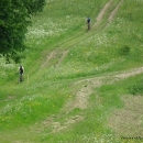 DSCF2346