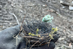 Messenger_creation_C424FACA-D24D-47B3-B974-E8CA87233989