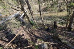 PXL_20260418_080653198