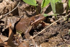 PXL_20260418_085616131