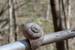 PXL_20260418_090119227