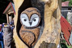 20230724_084754_resize