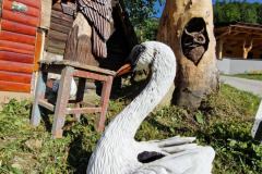 20230724_084808_resize