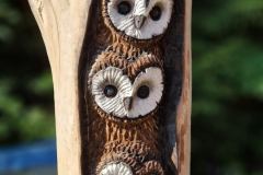 20230724_085634_resize