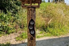 20230724_090332_resize