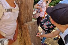 20230724_090752_resize