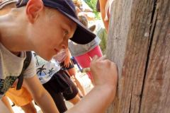 20230724_090808_resize